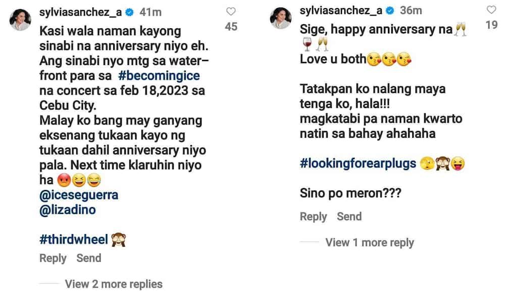 Sylvia Sanchez sa pagiging 3rd wheel sa anniv nina Ice Seguerra, Liza Diño: “Malay ko bang may ganyang eksena”