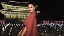Erwan Heussaff leaves hilarious comment on Anne Curtis's OOTD photo: "There is a butas"