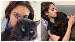 Megan Young mourns death of her cat Salem: “He was with us for 13 years”