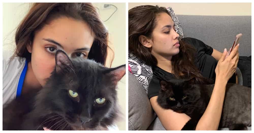 Megan Young mourns death of her cat Salem: “He was with us for 13 years” @meganbata