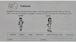 Grade 5 student na buong tapang na pinuna ang isang aralin, hinangaan ng marami
