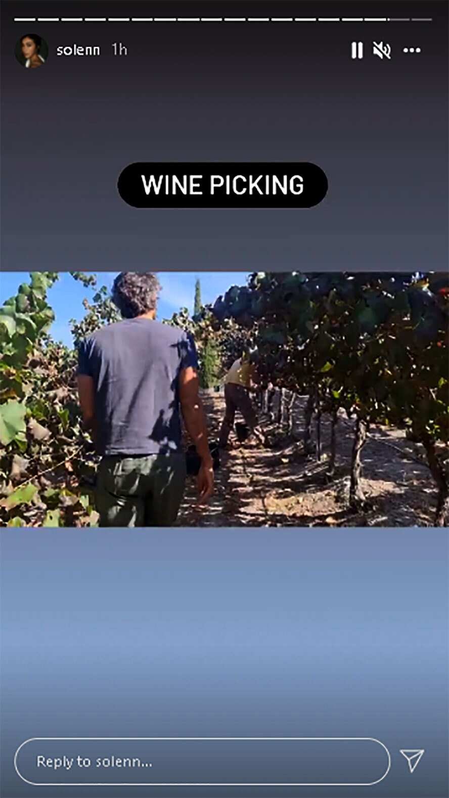 Solenn Heussaff, pinost video ng pag-harvest nina Nico Bolzico ng mga ubas sa vineyard para gawing wine
