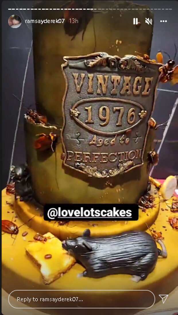 Cake ni Derek Ramsay, nakakawindang, may mga disenyong ipis at daga