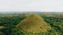 Bohol bans tourists as the province implements ‘community quarantine’