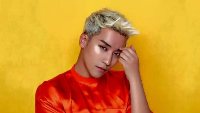 Taeyang biography: his career, spouse, and net worth value