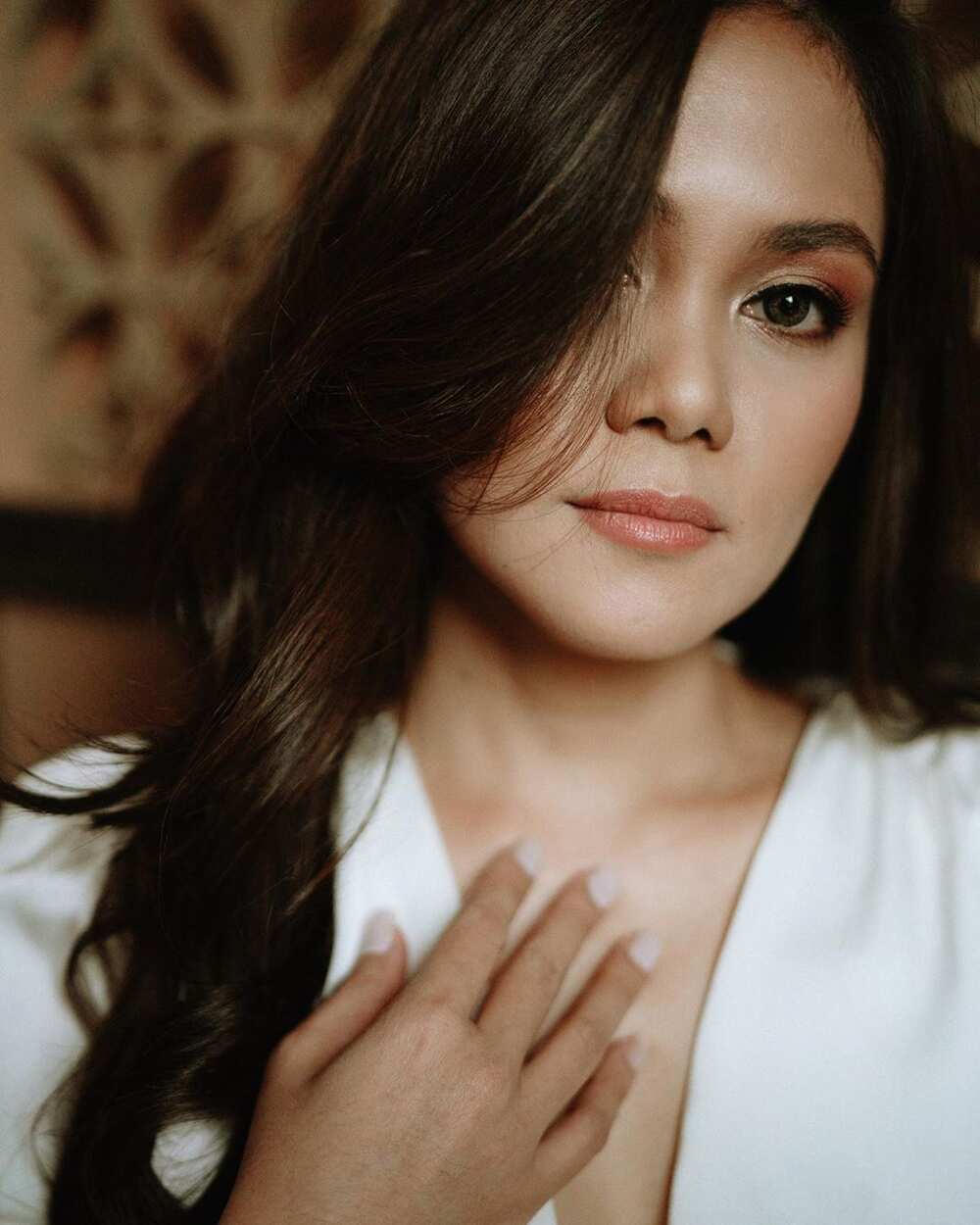 Vhong Navarro wife