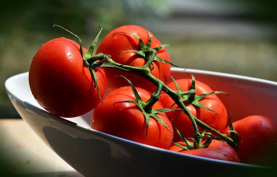 When to plant tomatoes in 2020