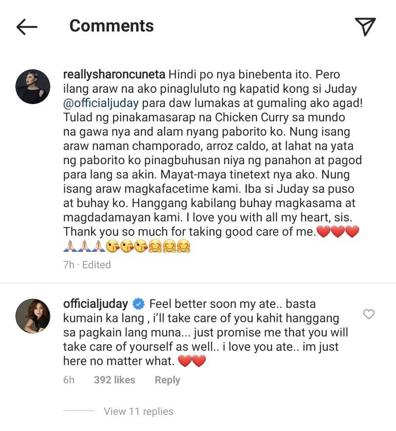 Sharon Cuneta, ibinahagi ang alagang binigay ni Juday habang siya ay may sakit