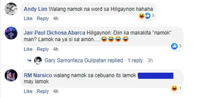 Module that called mosquitoes as "namok" in Tagalog goes viral