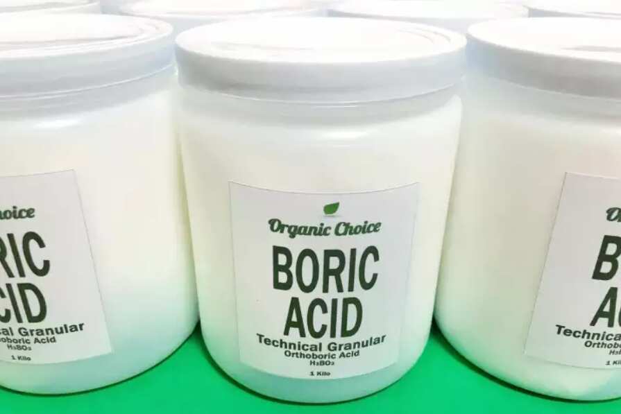 895px x 597px - Where to buy boric acid and how to use it - KAMI.COM.PH