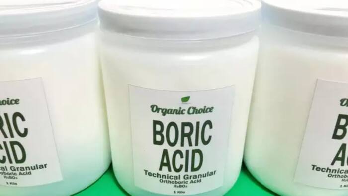 Learn where to buy boric acid for an affordable price