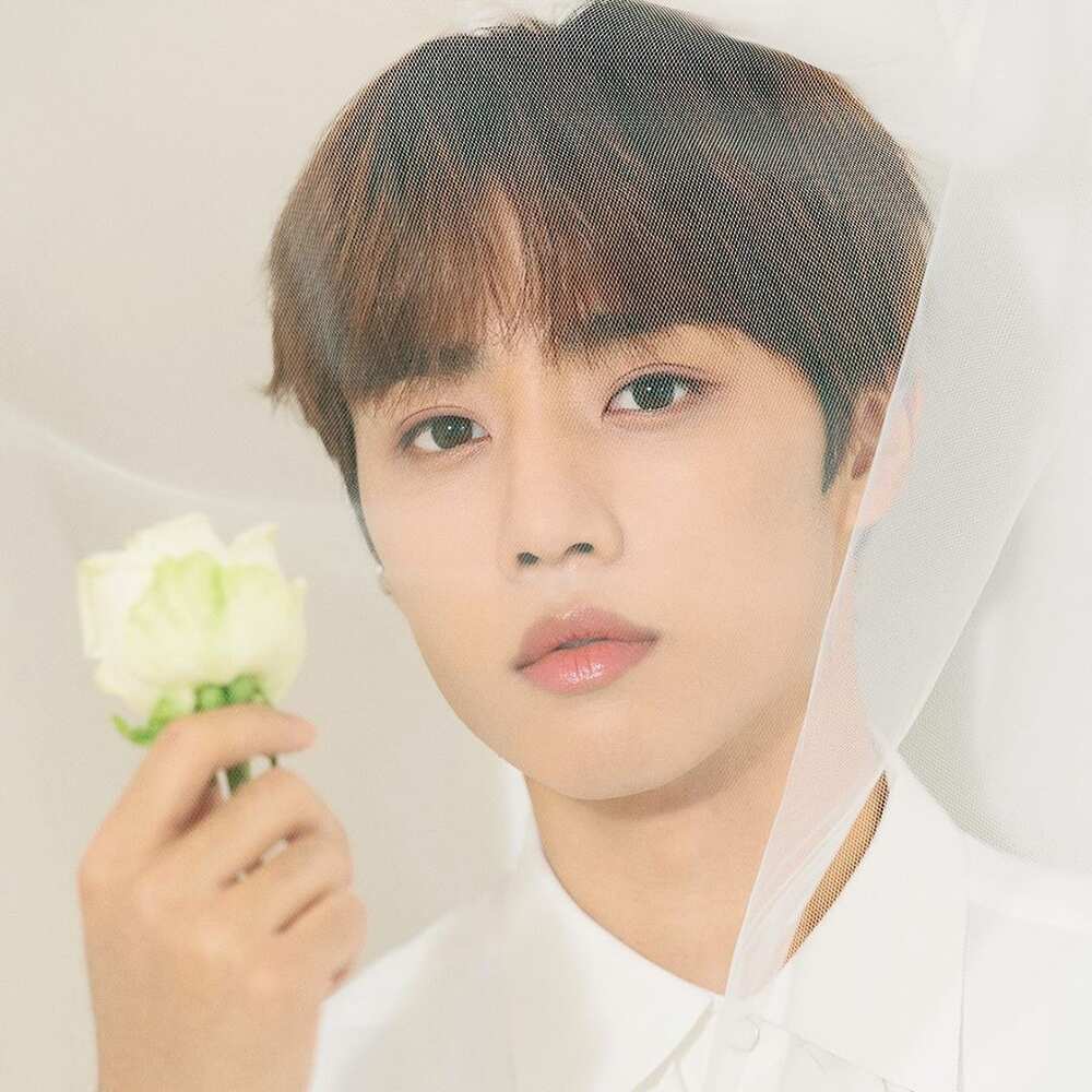 The Boyz members The Boyz members