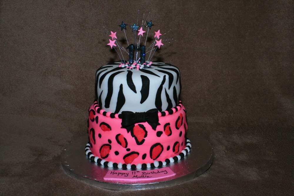Safari cake design Safari cake design