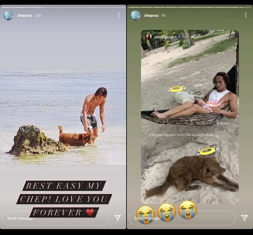 Andi Eigenmann, Philmar Alipayo mourn death of their pet dog Chep in viral posts