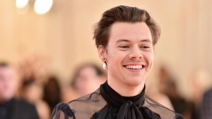 Diving deep with Harry Styles: solo career, net worth, who has he dated?