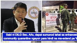 DILG Sec. Año says extending enhanced community quarantine is ‘not advisable’