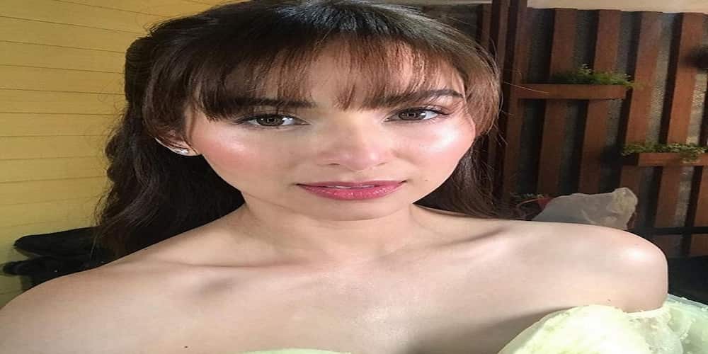 Jennylyn Mercado Pokes Fun at Harry Roque’s Picture with Dolphins Jennylyn Mercado
