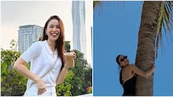 Netizens, nawindang sa pag-akyat ni Julia Barretto sa puno ng buko