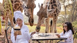 Vicki Belo, Scarlet Snow’s breakfast photos with giraffes stun netizens