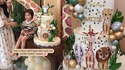 Isabelle Daza throws Safari-themed birthday party for her son Baltie