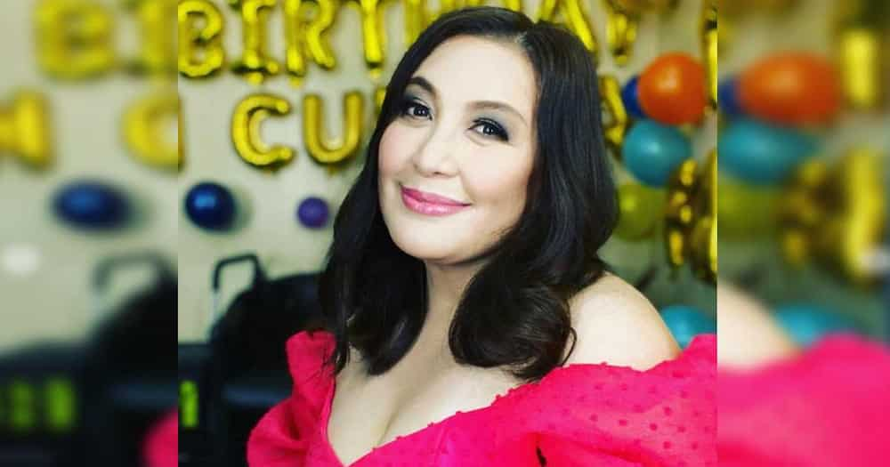 Sharon Cuneta slams price of pork, "maha-high blood ka"