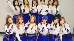 Wjsn profile: members, discography, fun facts, meaning