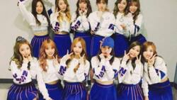 Wjsn profile: members, discography, fun facts, meaning