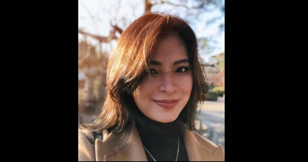 Angel Locsin shares 2021 wish list; includes weather on her wedding