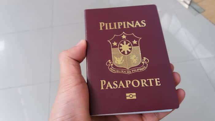How to cancel passport appointment: explaining in details