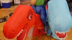 Video of baby Dahlia Heussaff, baby Tili Bolzico wearing adorable dinosaur costumes goes viral
