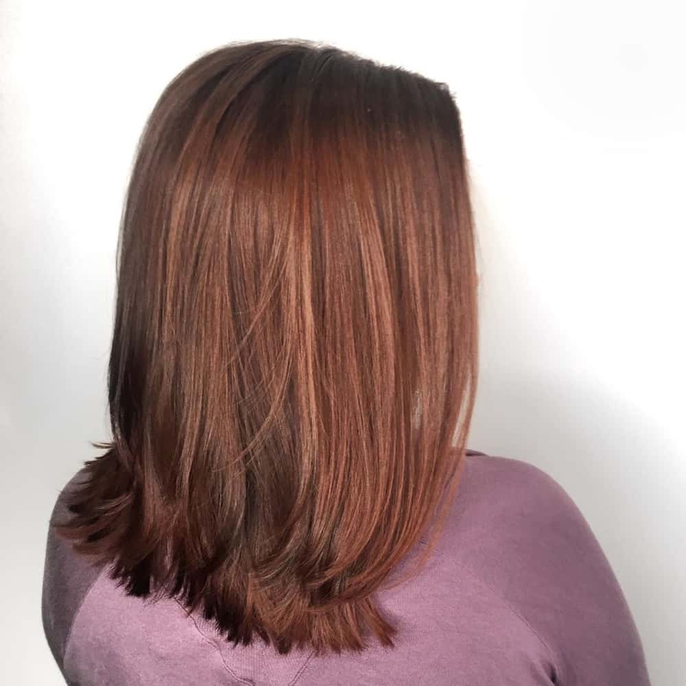 Featured image of post Steps to Prepare Balayage Hair Caramel Light Brown Hair Color For Morena