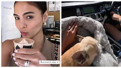 Lovi Poe shows her life with husband after fancy wedding in the UK
