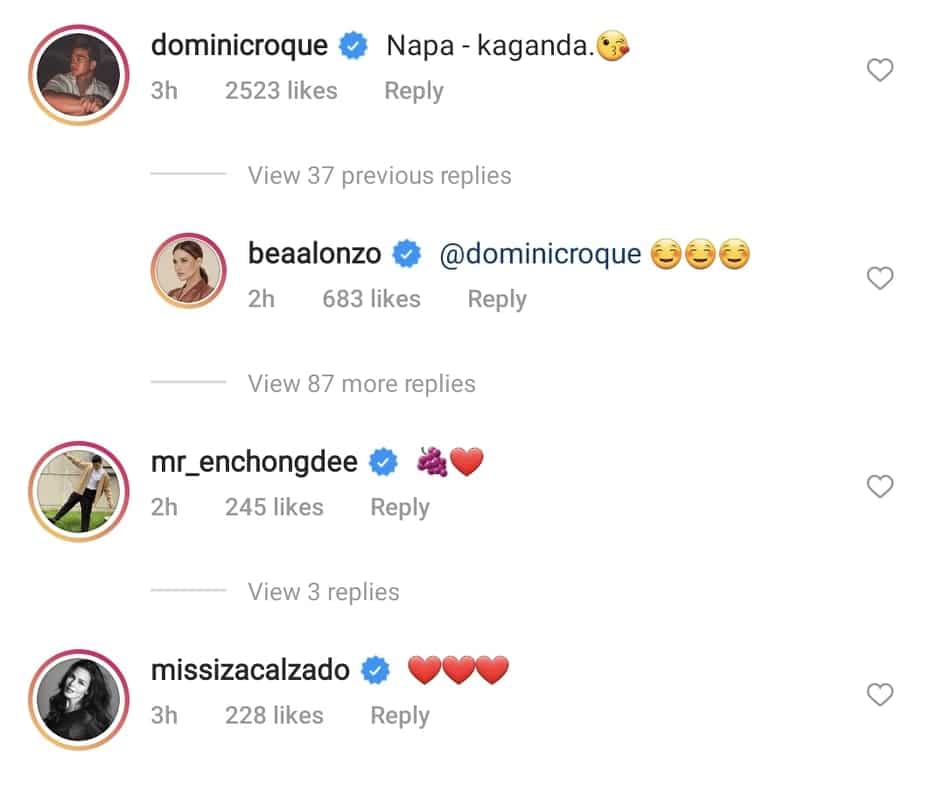 Bagong sweet photos nina Bea Alonzo at Dominic Roque, nagpakilig sa mga celebrities