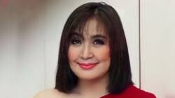Sharon Cuneta, ibinida ang magagandang roses na natanggap niya sa 'Ang Probinsyano'