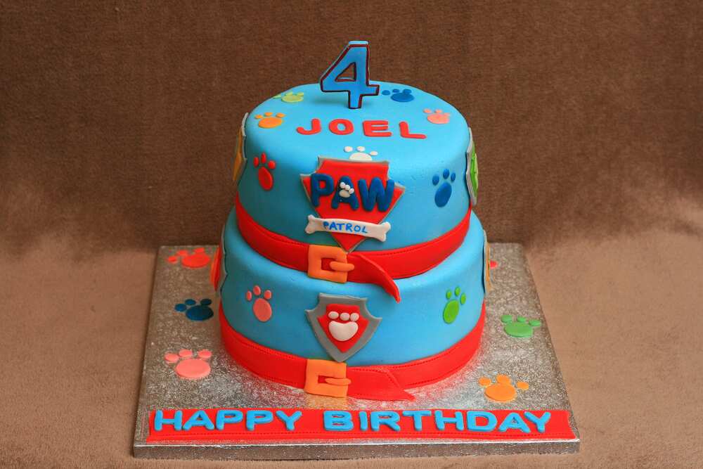 PAW Patrol cake design PAW Patrol cake design