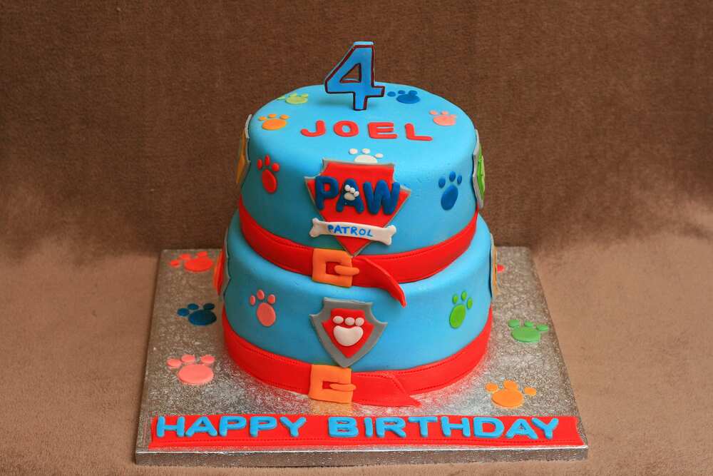 PAW Patrol cake design