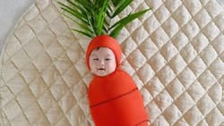 Liz Uy dresses baby Matias in carrot costume as he turns 4 months old