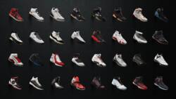 15 most expensive sneakers 2020