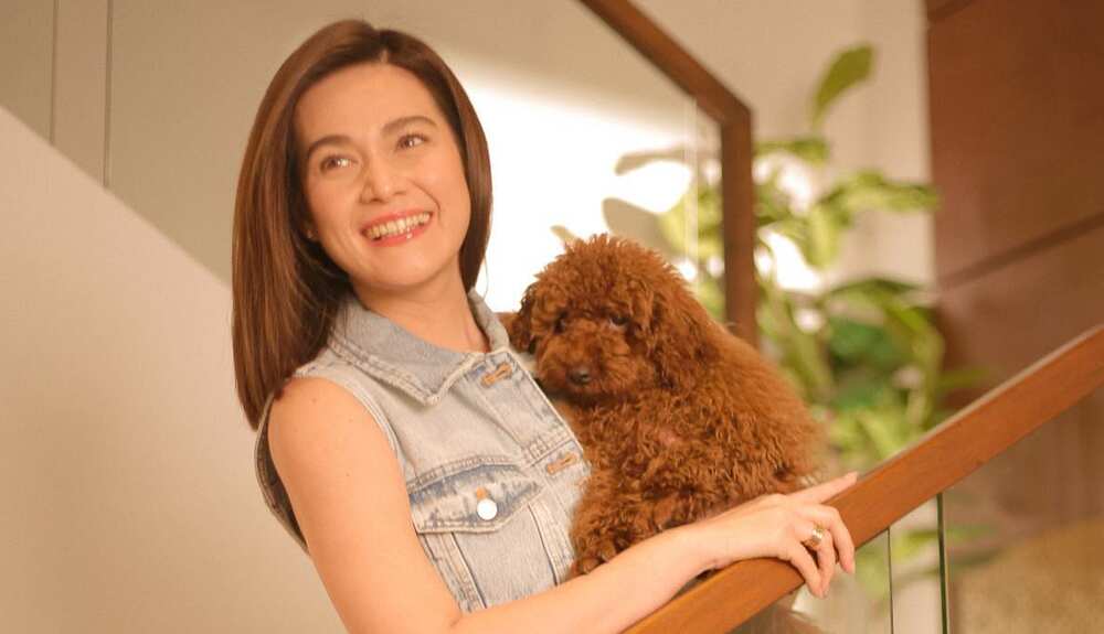 Bea Alonzo, legal na residente na ng Spain matapos mag-invest ng halos P30 million