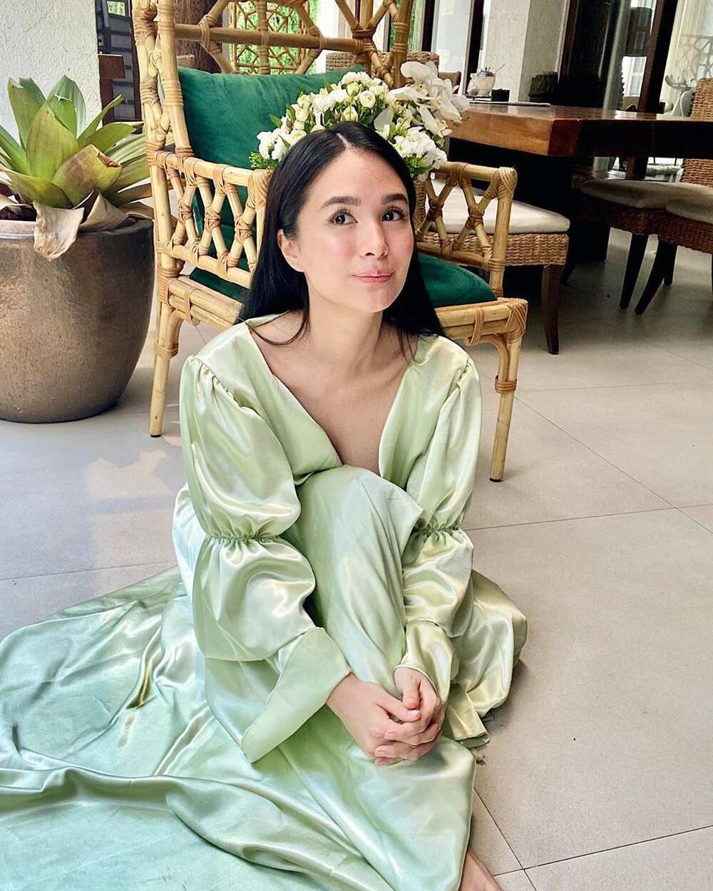 Heart Evangelista Net Worth