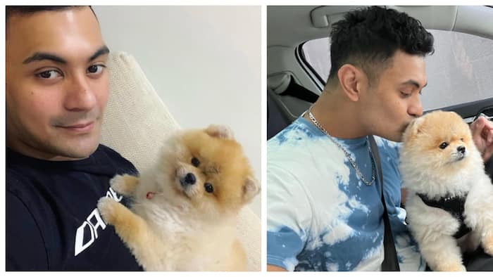 Gab Valenciano mourns death of his 5-year-old pet dog Vader Valenciano