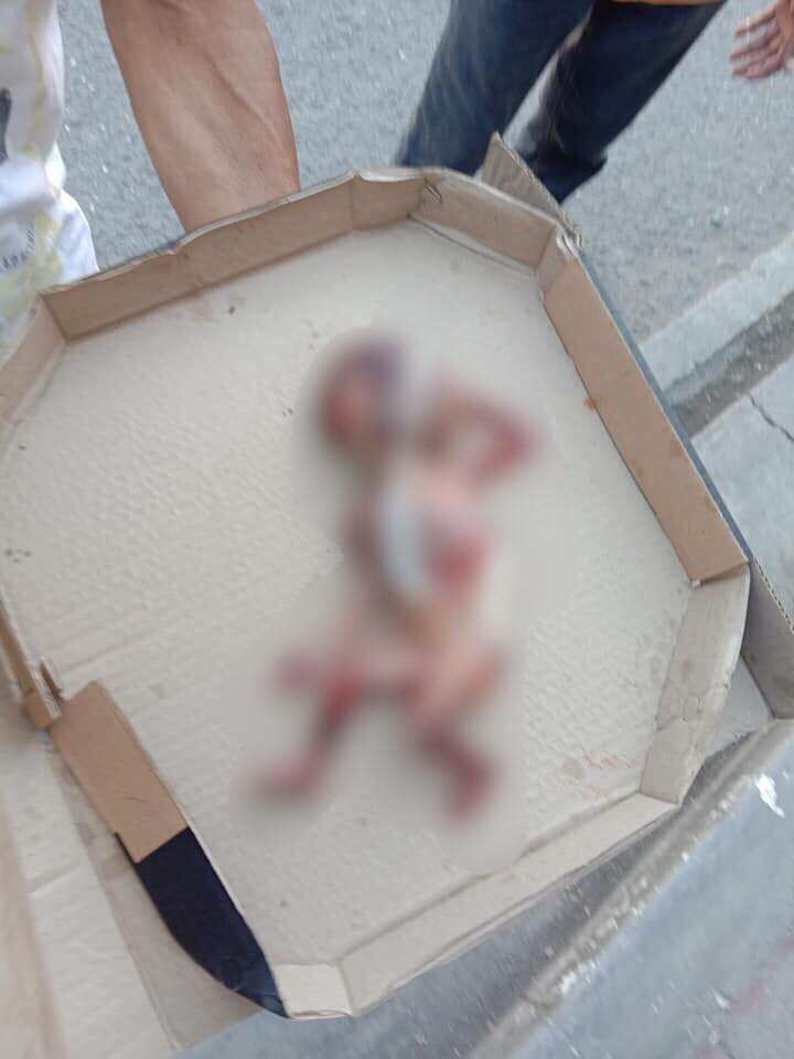 Patay na fetus, natagpuan sa isang basurahan sa Cebu City