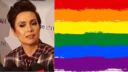 Lea Salonga wishes to see the legalization of same-gender marriage in her lifetime. Netizens respond