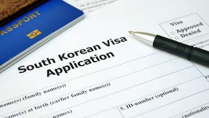 The Korean visa requirements you must-have for an easy visa application process