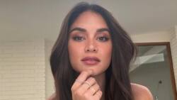 Pia Wurtzbach asks netizens to stop assuming she is pregnant: "Its not nice"