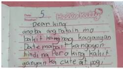 Nakakalokang sulat sa diary ng netizen noong siya'y Grade 4 pa lang, kinagiliwan online