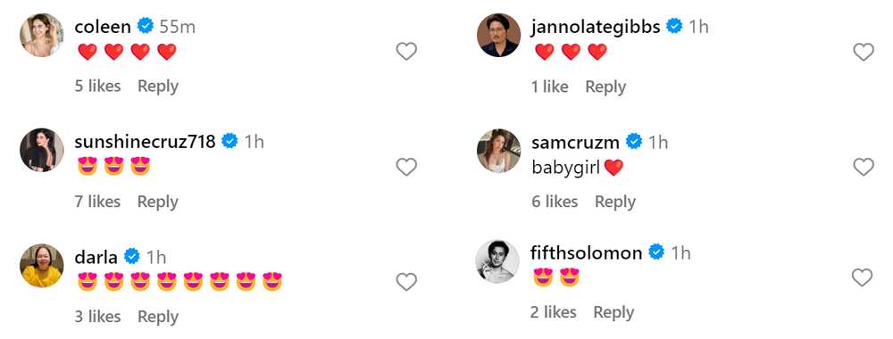 Sunshine Cruz and other celebs react to Diego Loyzaga’s new post about his baby