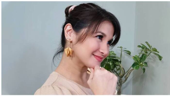 Camille Prats, binalikan ang pinagdaanan nang mamatay ang unang asawa