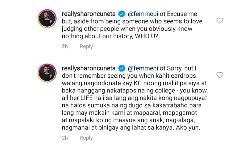 Sharon Cuneta, inalmahan ang netizen sa komento nito sa kanyang pagsorpresa sa anak