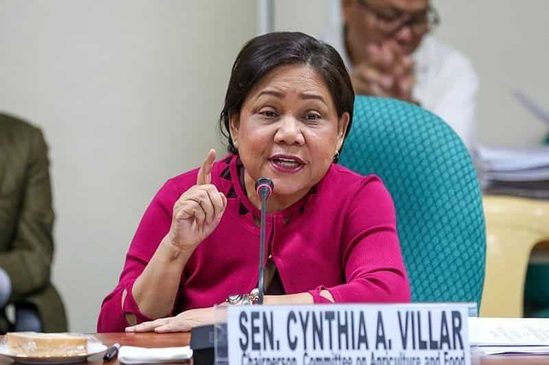 Cynthia Villar education